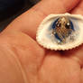 Cute baby octopus in a glow shell