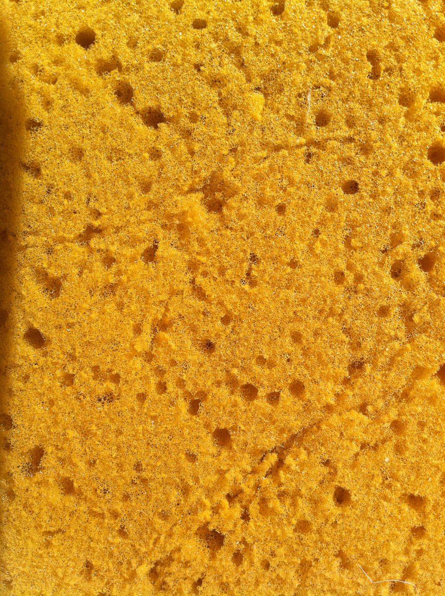 Sponge Texture