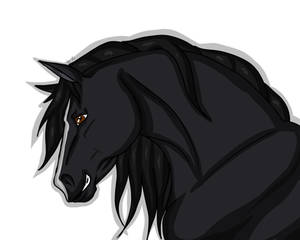 Friesian srort horse