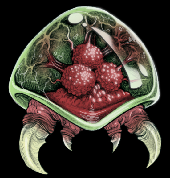 Species: Metroid