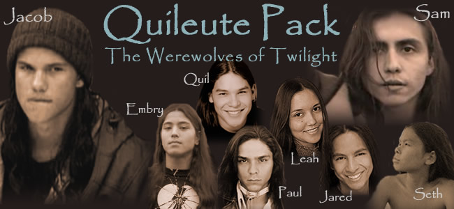 twilight werewolfs