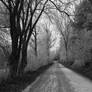 Following country road