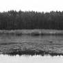 Thaw on Karolewskie Lake