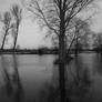 Flooded