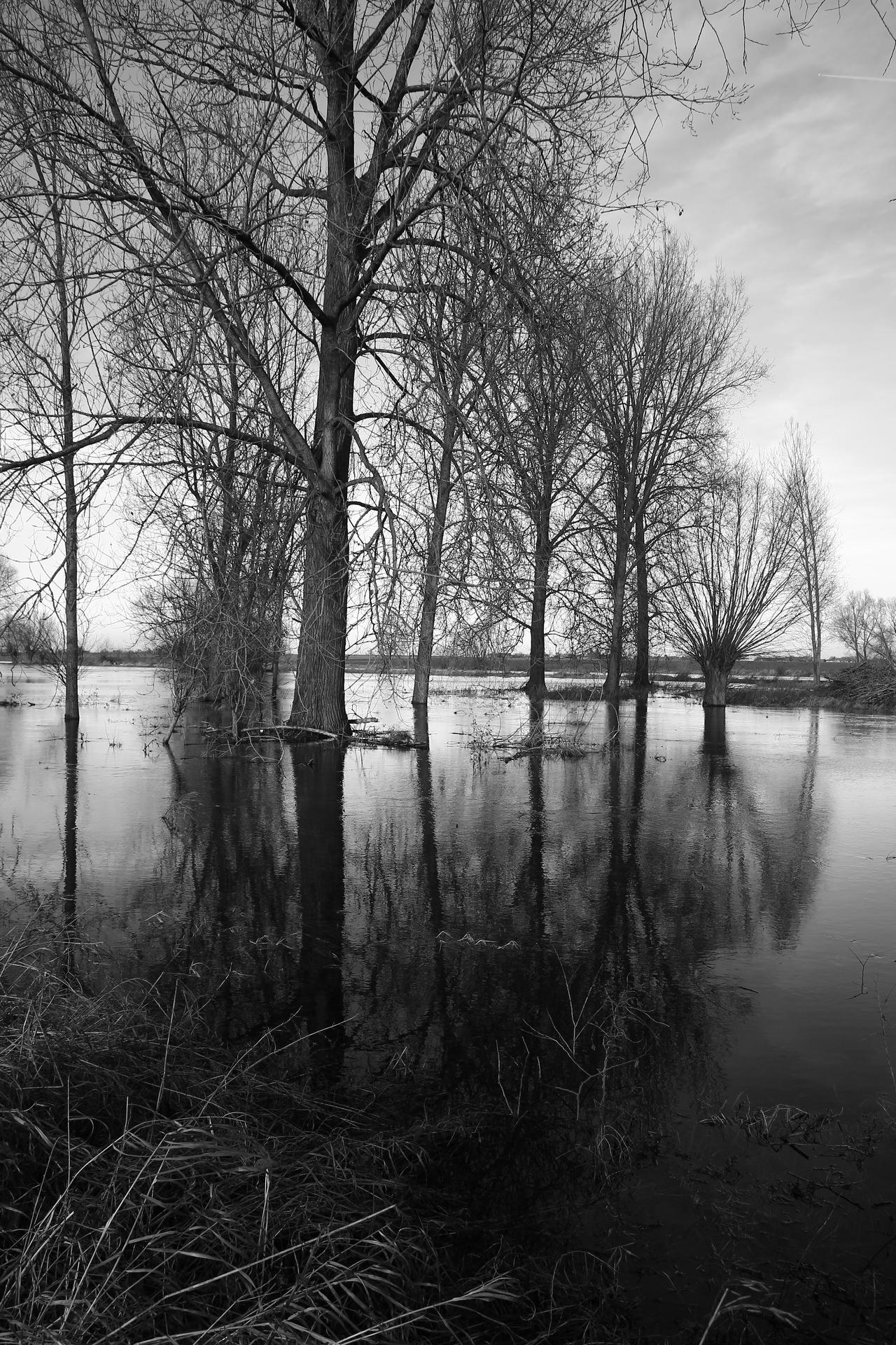 December MMXXIII - flooding