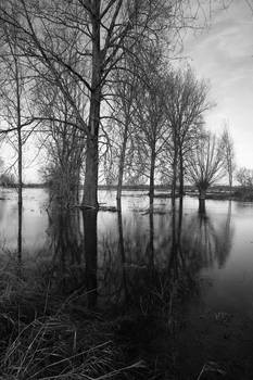 December MMXXIII - flooding