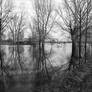 Greater Poland - floodplain