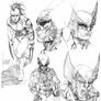Wolverine sketches