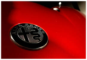 20251111 Muse automobile Alfa Romeo 33 Stradale