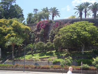 Madeira