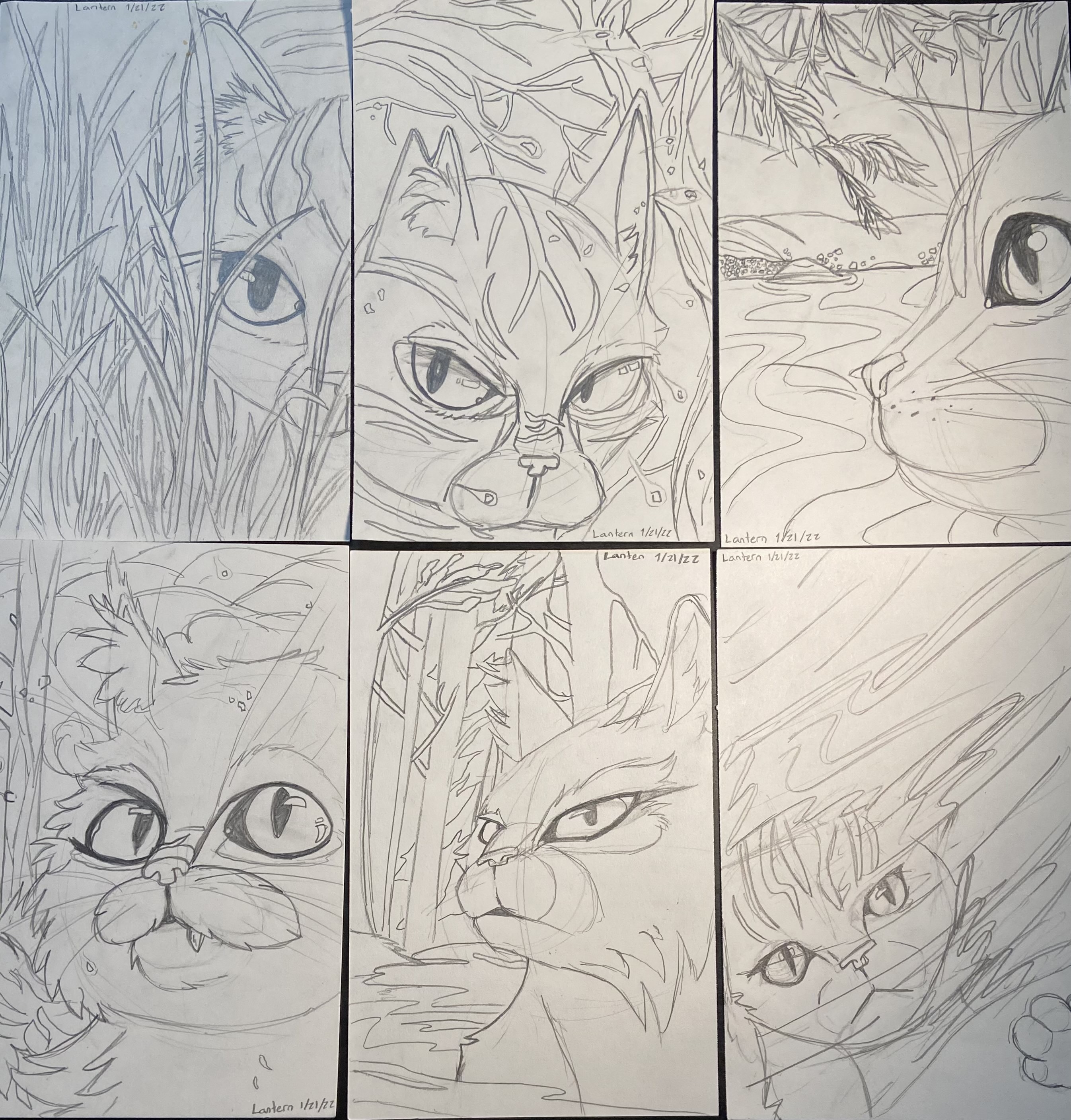 Warriors 2 in 2023  Warrior cat drawings, Warrior cats, Warrior cats books