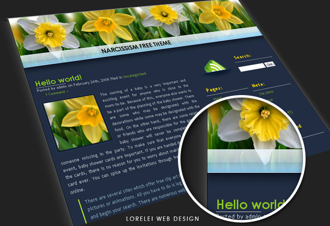 Narcissism wordpress theme