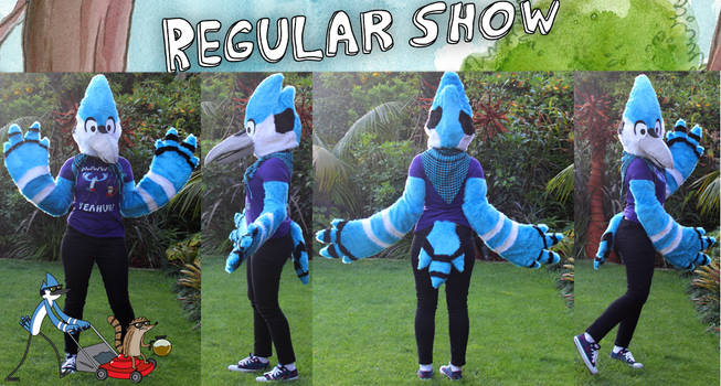 Regular Show: Mordecai Cosplay