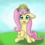 Fluttershy and Shaymin