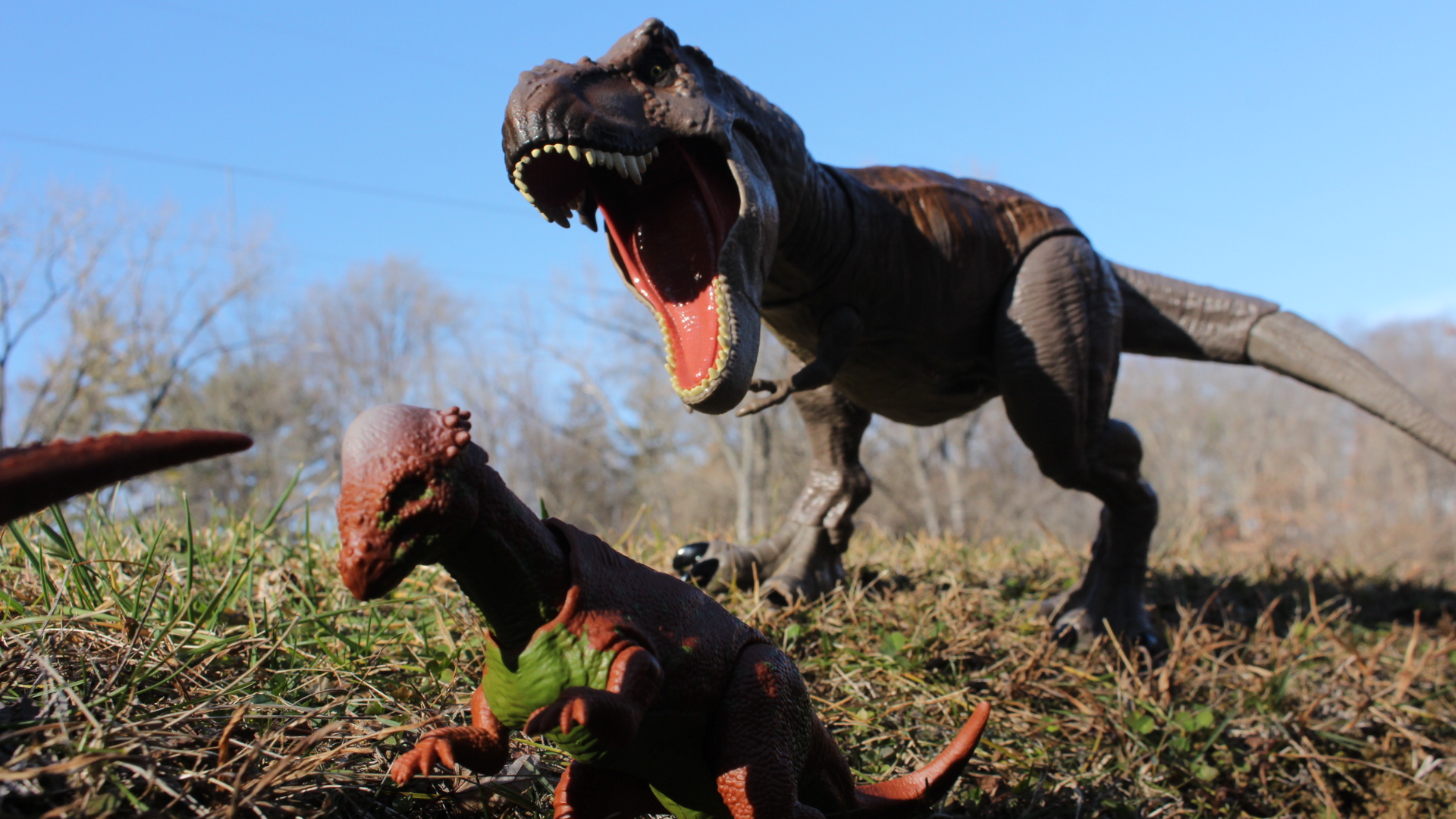 Incoming Rex Incoming Rex by DinoNTrains on DeviantArt