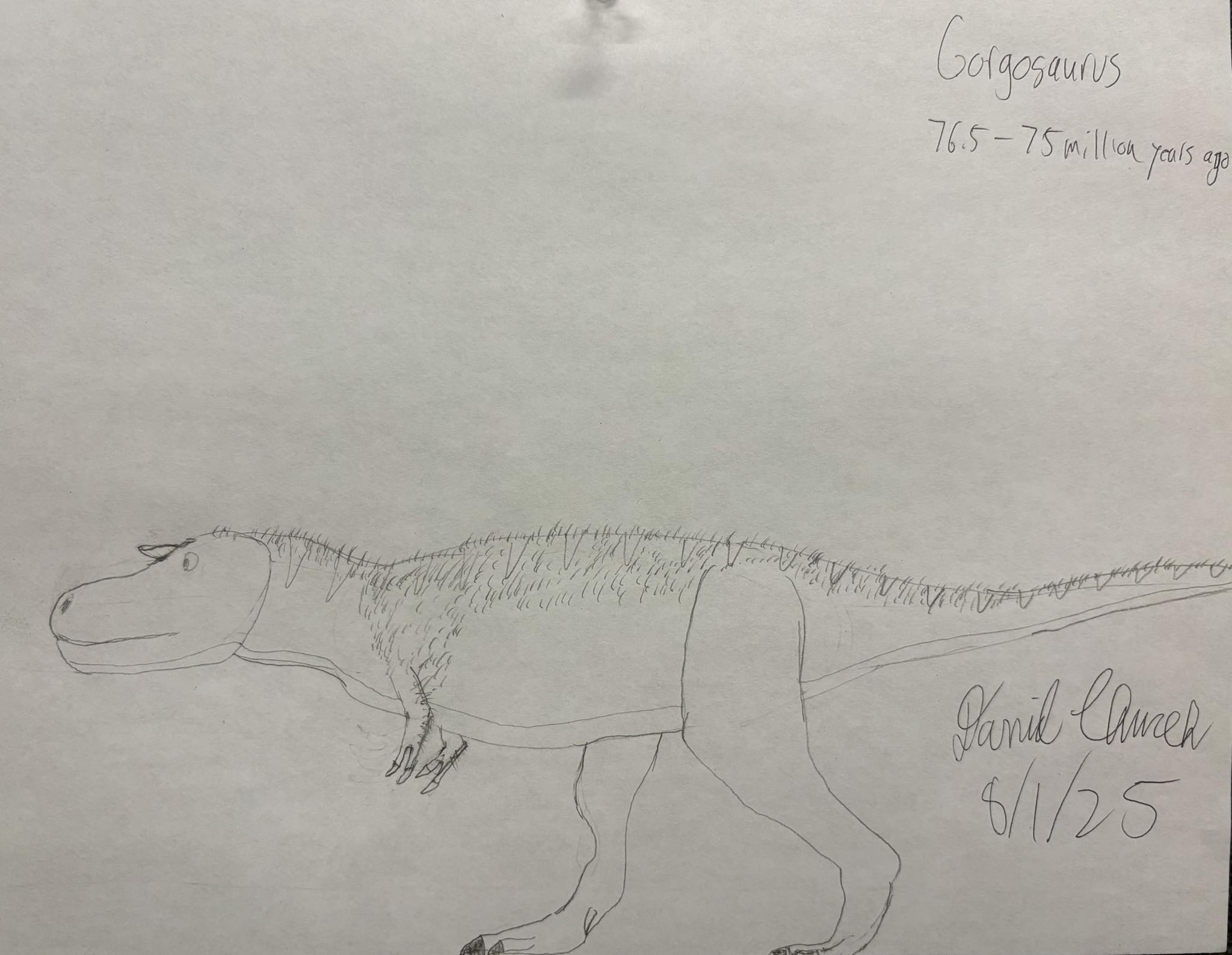 Gorgosaurus Pencil Drawing by DinoNTrains on DeviantArt