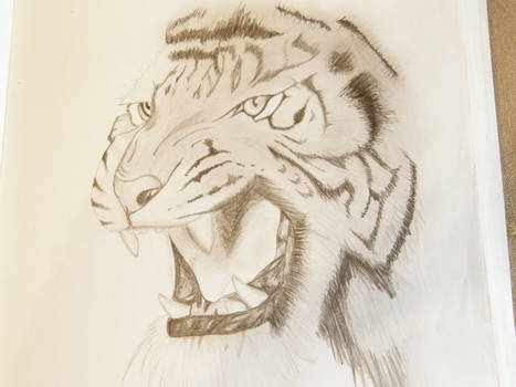 drawing - grrr tiger :P