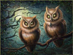 From the life of owls by n-a-S-t-u