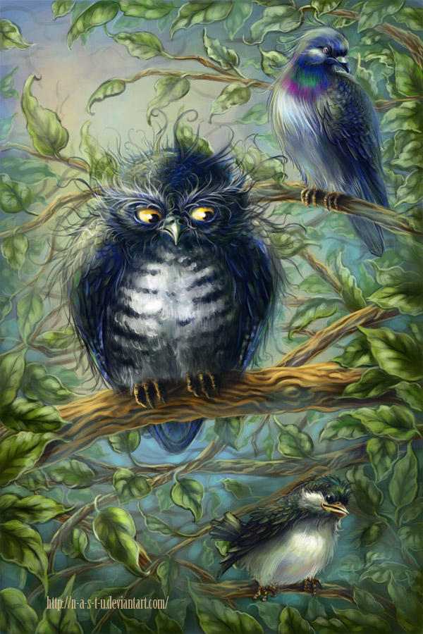 Deviantart Bird Designs Birds by StuNoir on DeviantArt