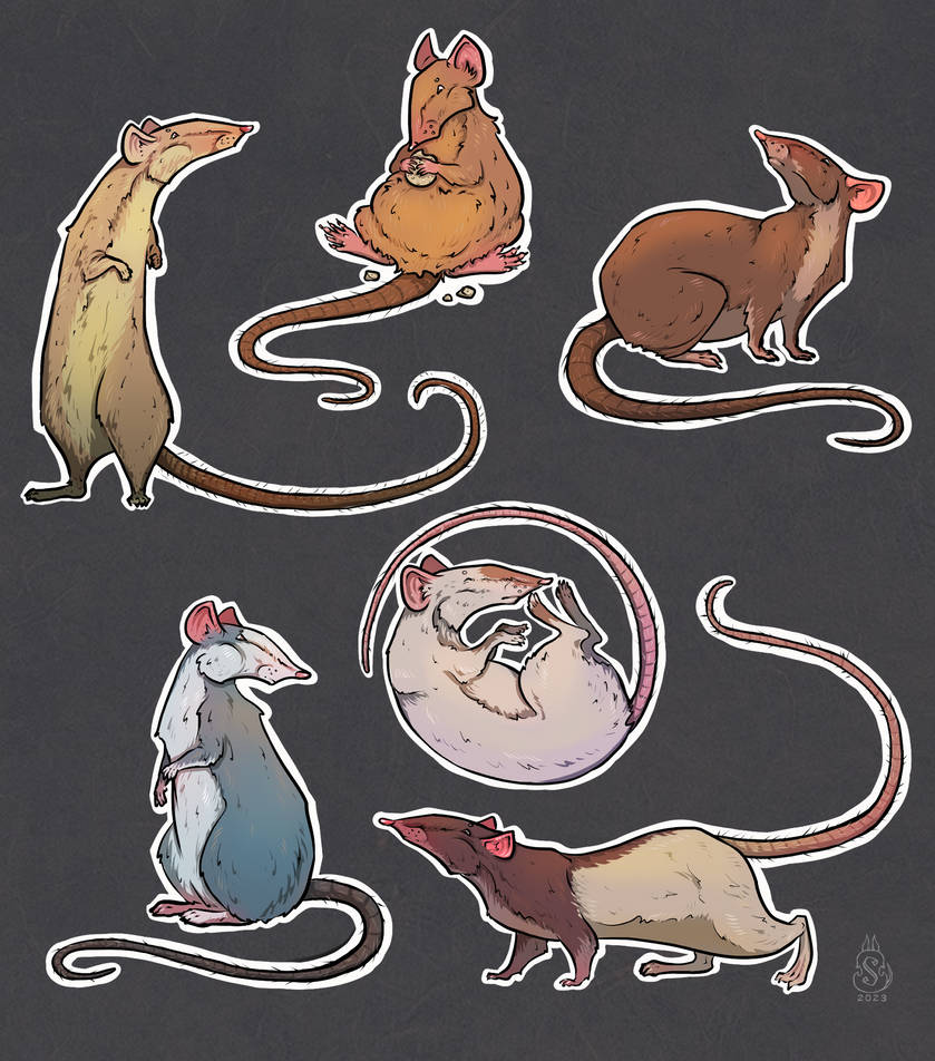 30 Rats Rats by StuNoir on DeviantArt