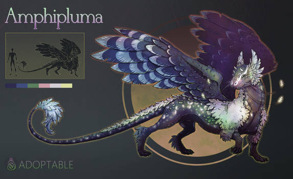 #3 Adopt (OPEN) Amphipluma