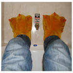 My Chicken Feet by psion005