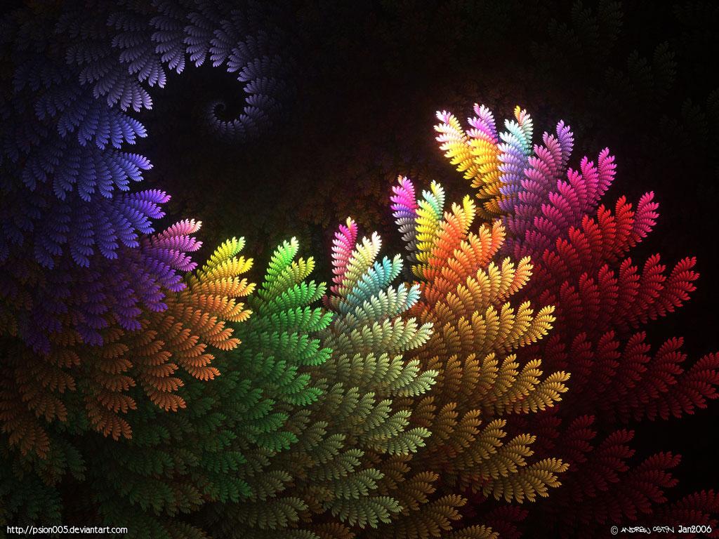 Rainbow Fern