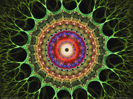 Organic Mandala