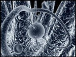 Viral II by psion005