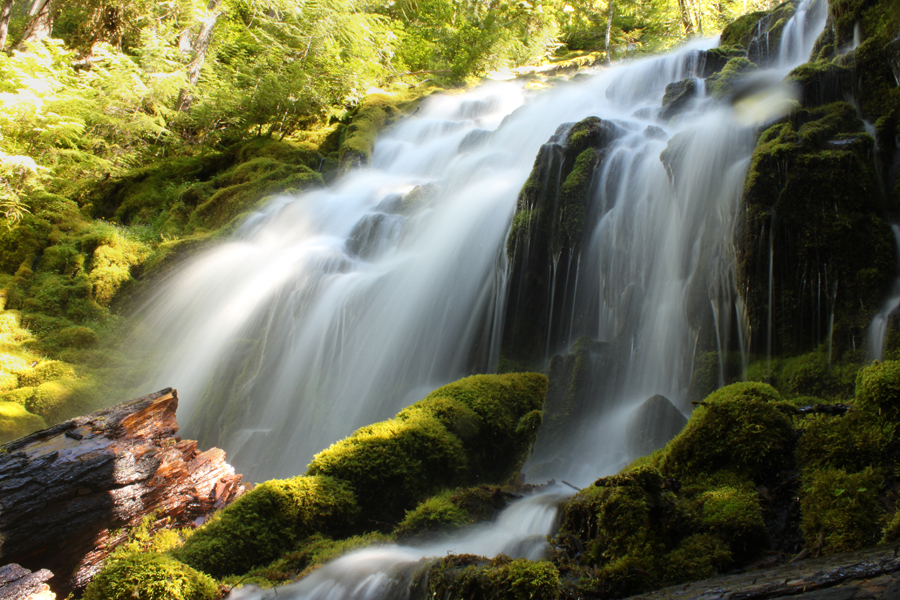 Flow of Beauty