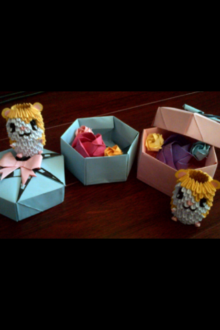 Origami Gifts (Box, Hamtaro, Roses)