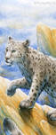 Bookmark - Snow leopard by Dragarta