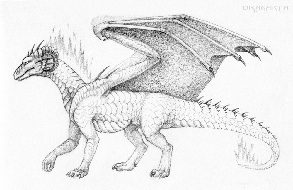 New sketch of Dragarta