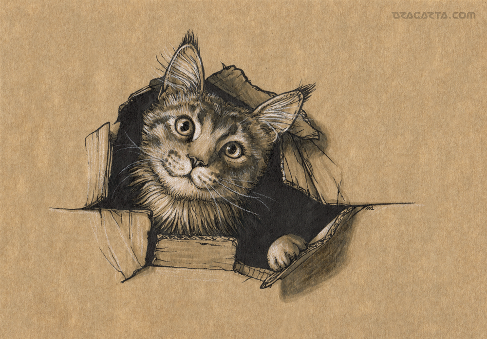 Inktober 2016 - 26. Box