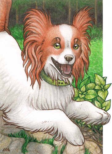 ACEO for SkywardSylphina by Dragarta