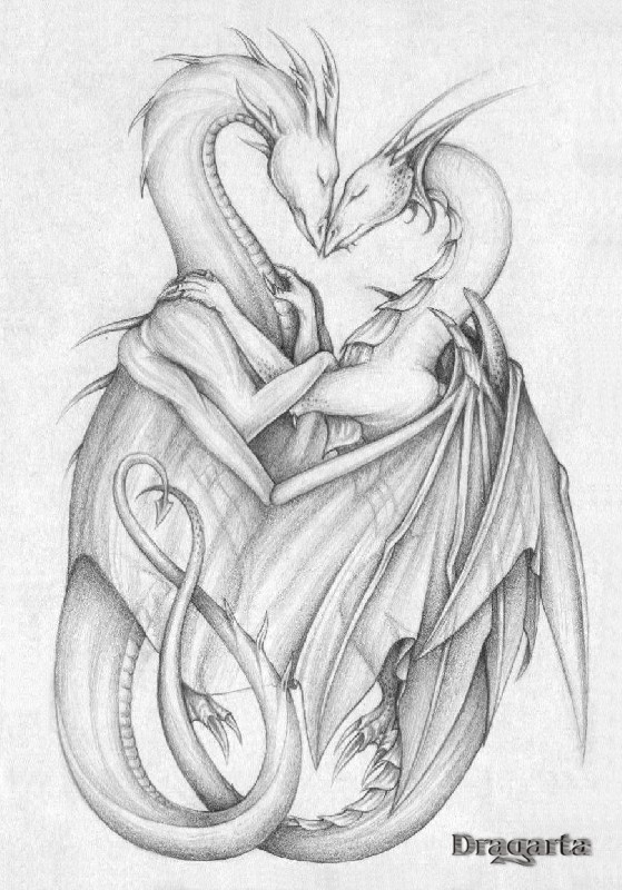 Dragon Tenderness By Dragarta On Deviantart