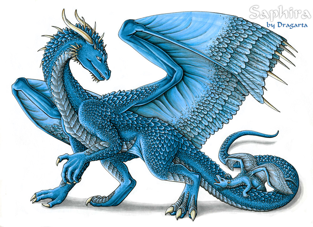 Saphira by Dragarta