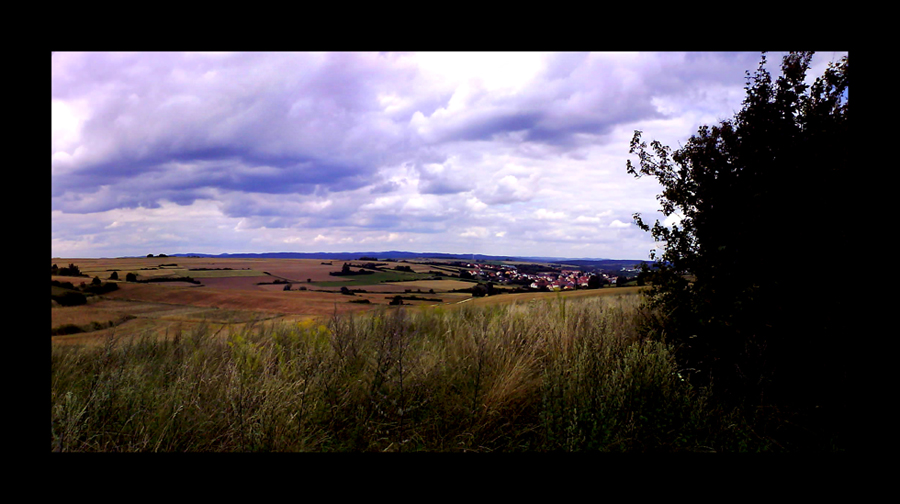 fields of kallmu:nz