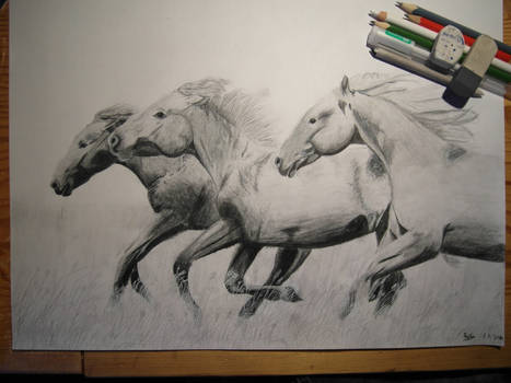 Running horses