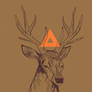 Stag Shirt design