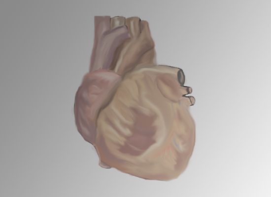 a human heart