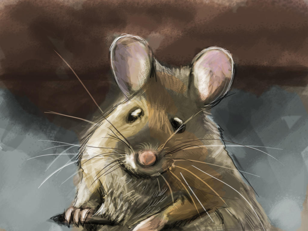 Наведи мышку. Мышка. Мышонок живопись. Мыши в живописи. Мышка иллюстрация.