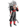 Goku SSJ5 Absalon concept