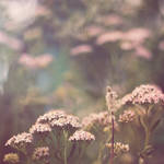 Fragile by odpium