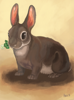 Rabbit With a Clover