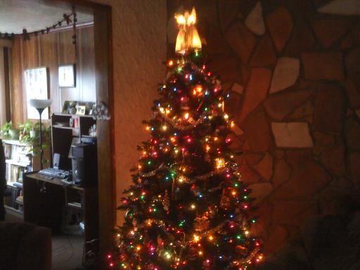 Our Christmas Tree