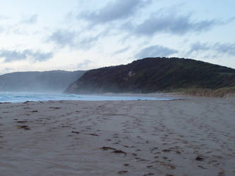 Misty beach