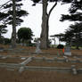 Graveyard 2