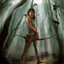 Tomb Raider Rises