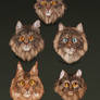 Tigerstar Cloning Facility